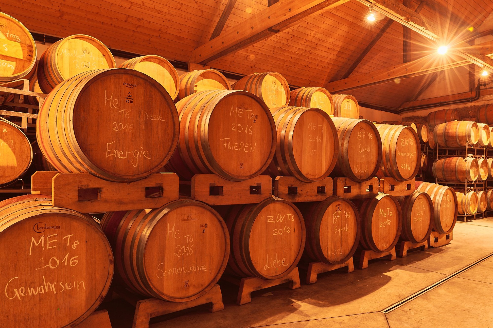 Weingut Birgit Braunstein winery in Purbach