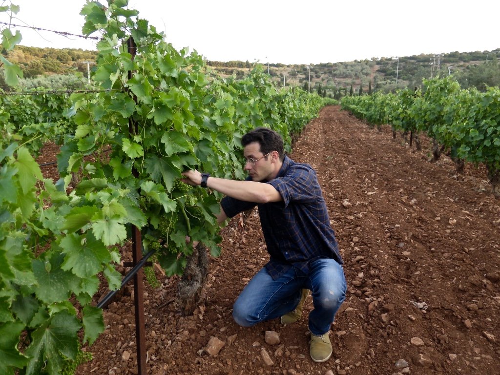 Aoton Winery