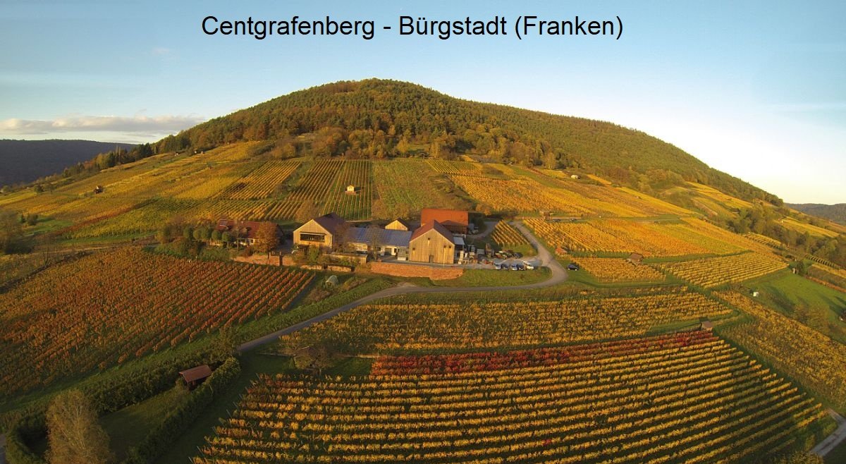 Weingut Rudolf Fürst winery in Bürgstadt, Germany