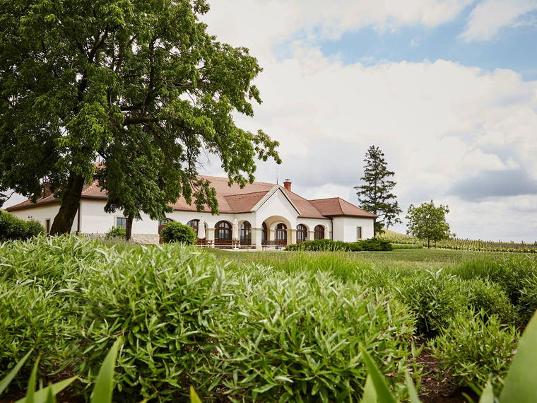 Patricius Winery, Bodrogkisfalud, Hungary