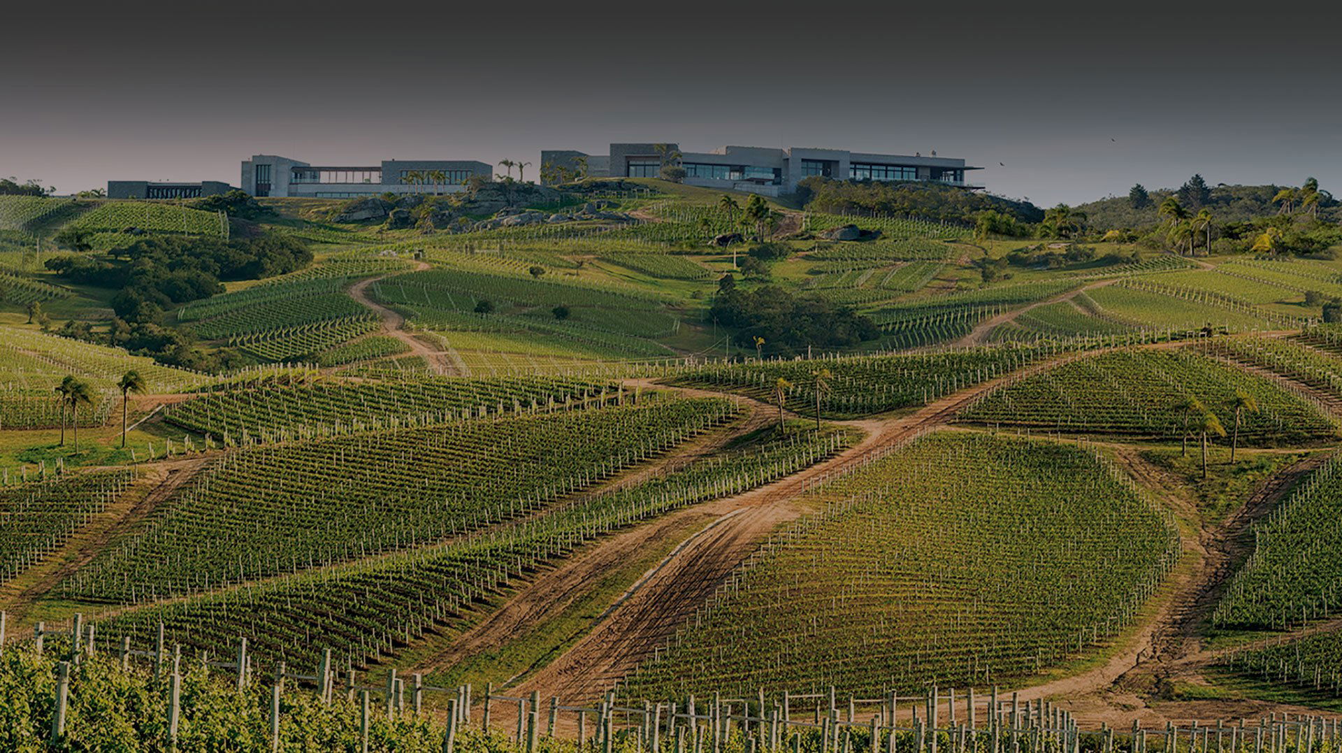 Bodega Garzón winery in Maldonado, Uruguay