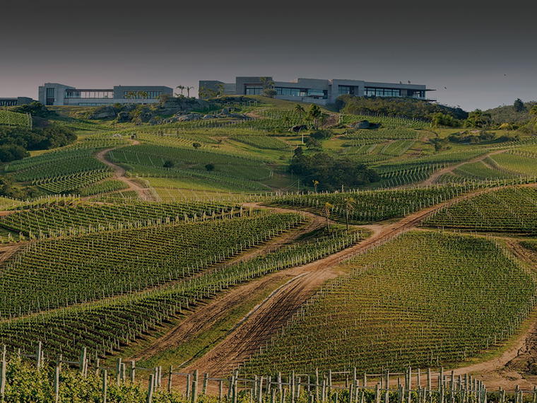 Bodega Garzón, Maldonado, Uruguay