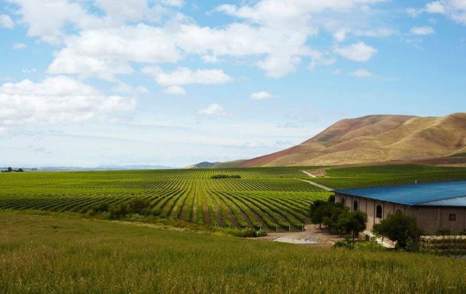 Cambria Estate Winery winery in Santa Maria, United States