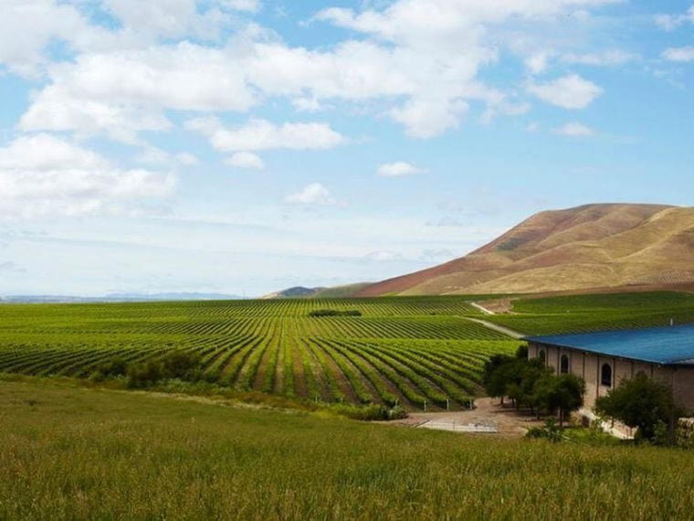 Cambria Estate Winery, Santa Maria, United States