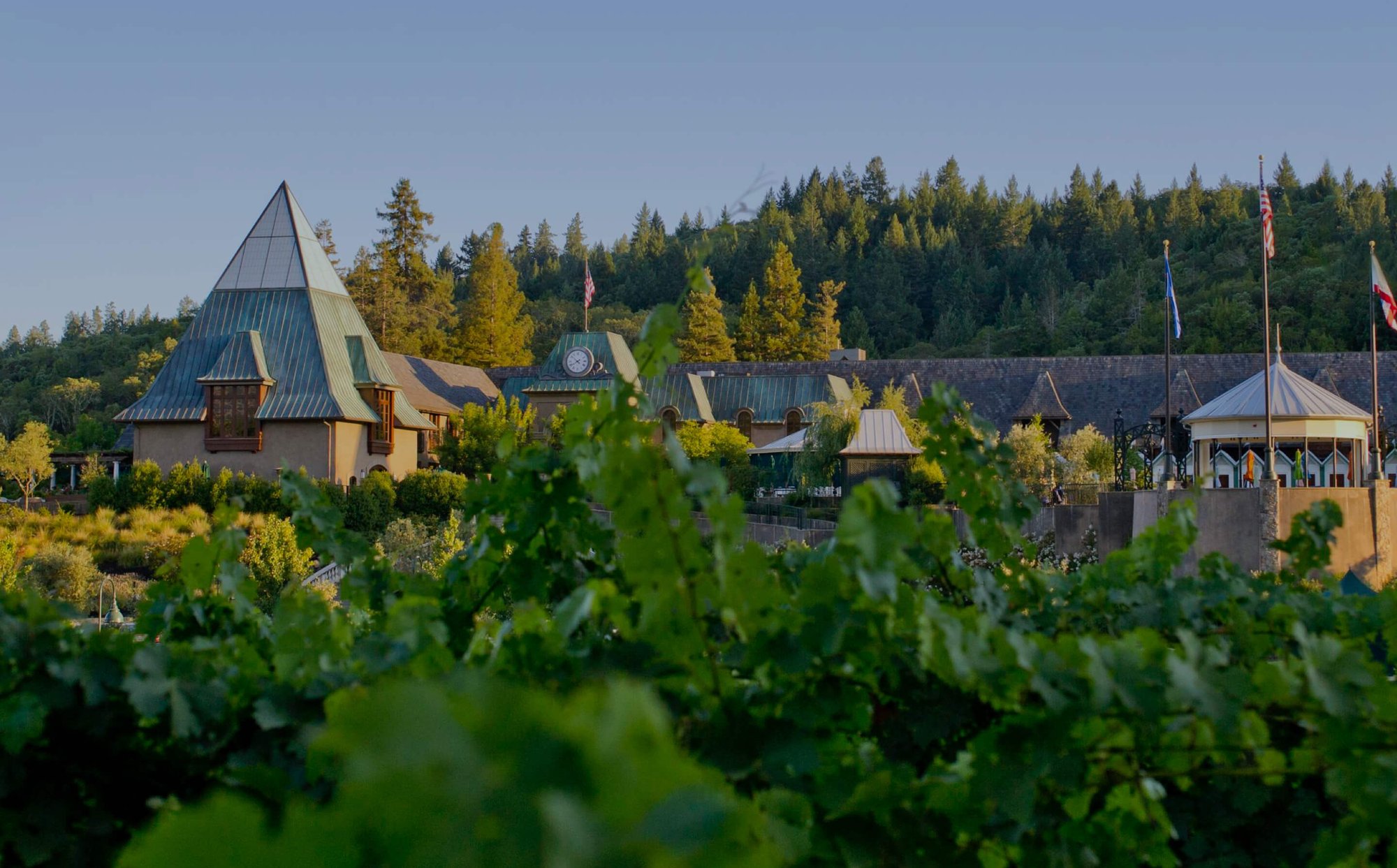 Francis Ford Coppola Winery, Winery in Geyserville