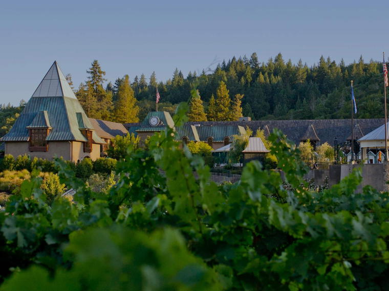 Francis Ford Coppola Winery, Geyserville, United States