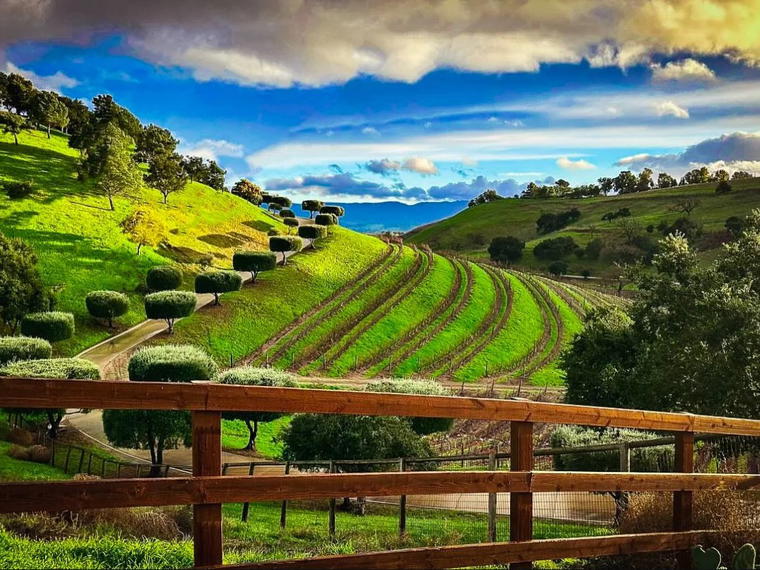 Saarloos & Sons, Santa Ynez, United States