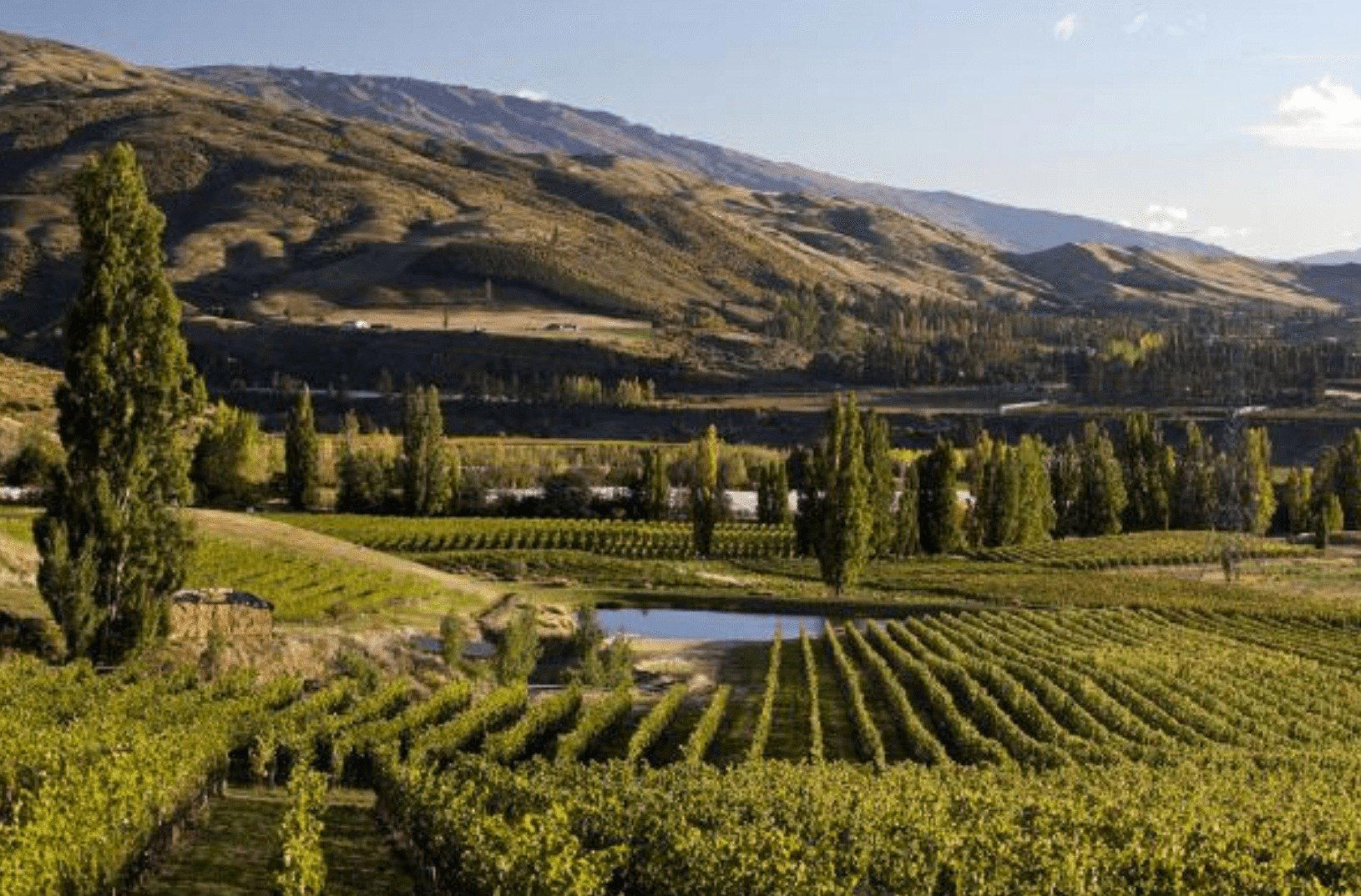 Felton Road Wines, Bannockburn, New Zealand