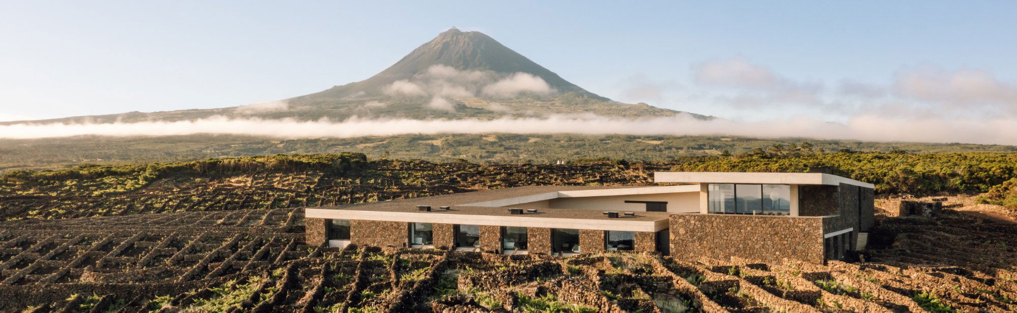 Azores Wine Company, Winery in Madalena (Pico)