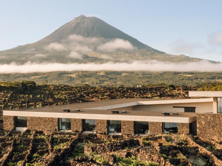 Azores Wine Company, Madalena (Pico), Portugal