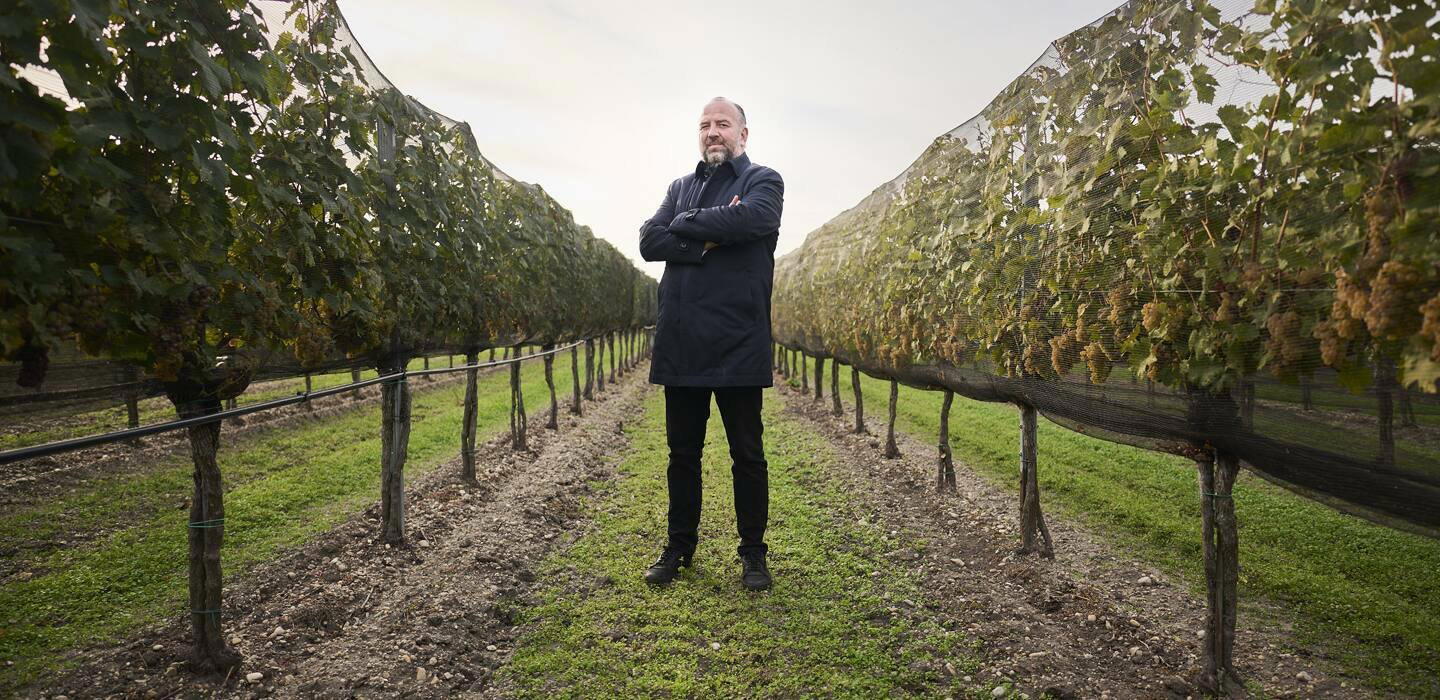 Weingut Kracher winery in Illmitz