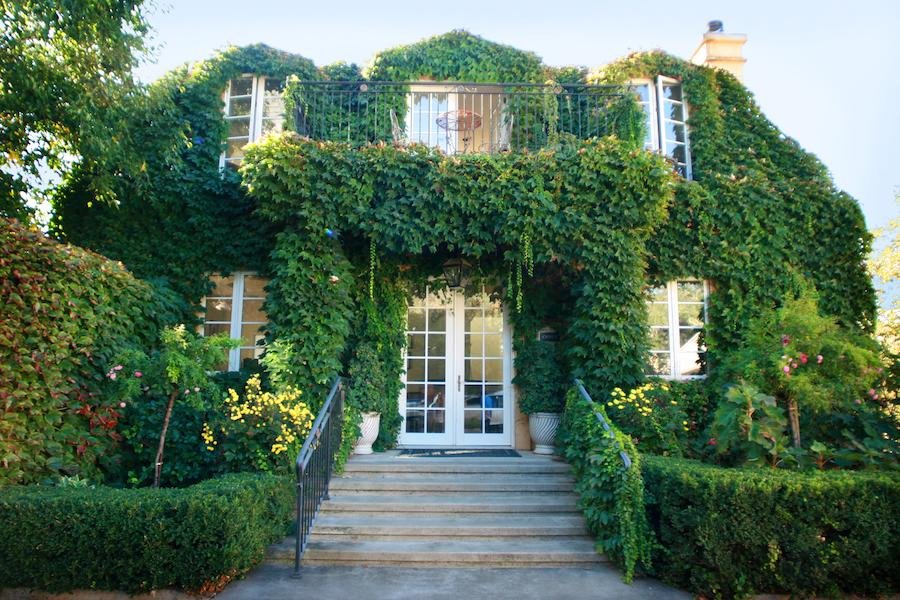 Buehler Vineyards, St. Helena, United States