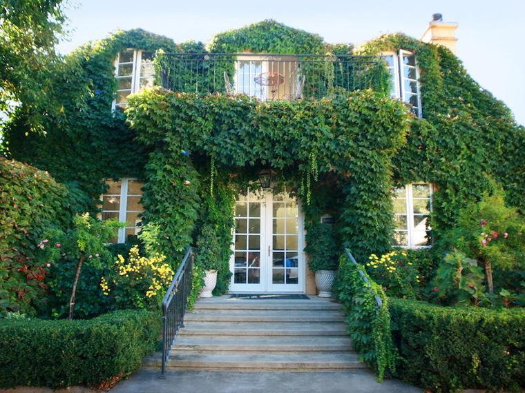 Buehler Vineyards, St. Helena, United States