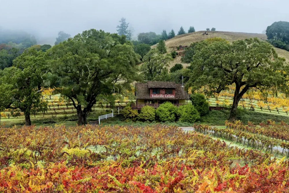 Yorkville Cellars