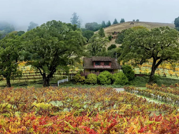 Yorkville Cellars, Yorkville, United States