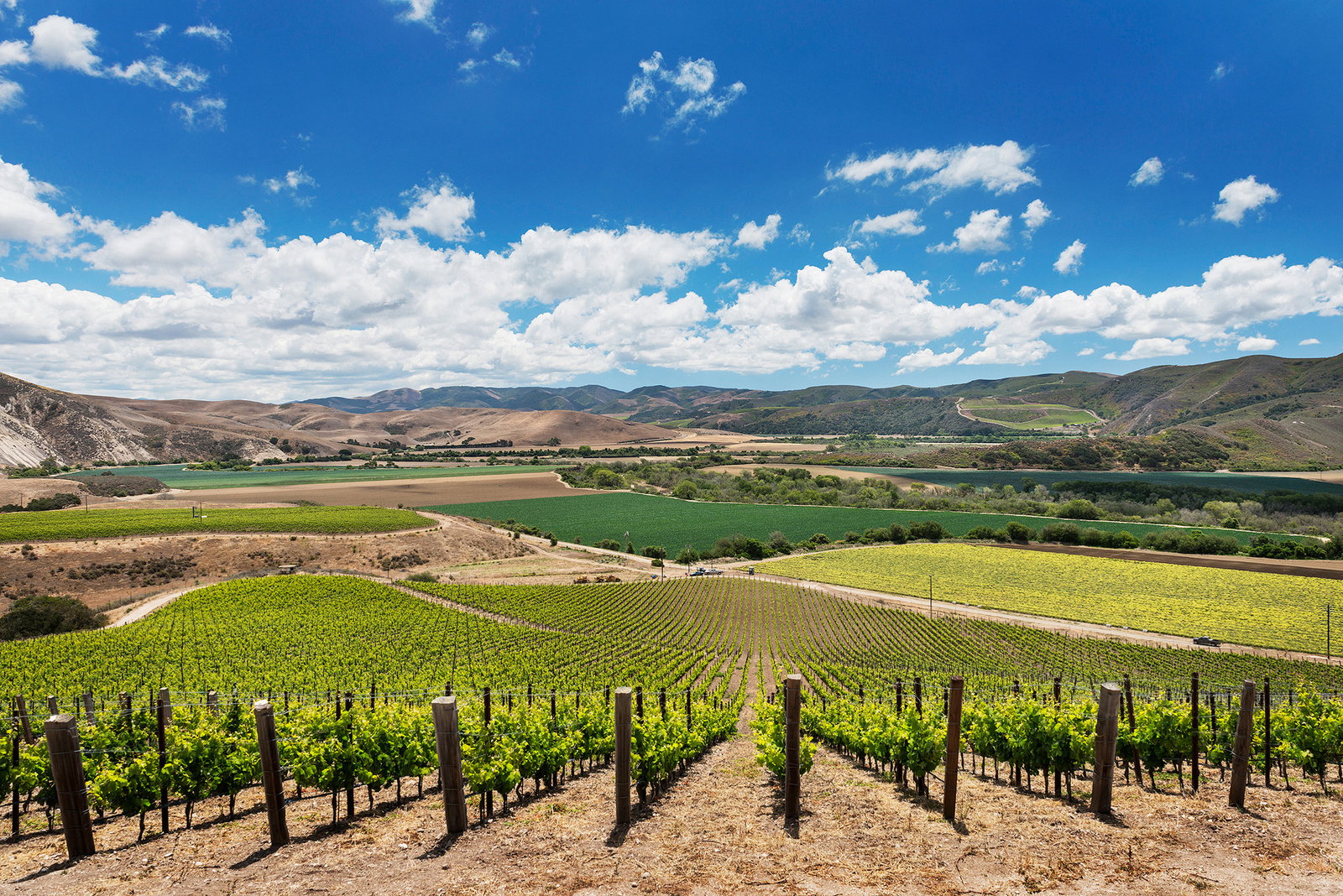 Domaine de la Cote