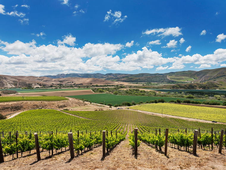 Domaine de la Cote, Lompoc, United States