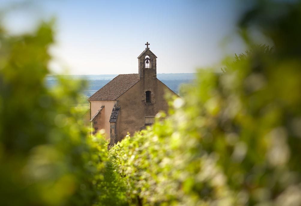 Domaine Clos de la Chapelle, Beaune, France