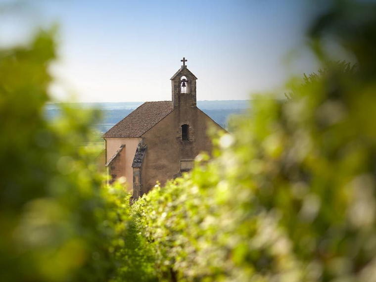 Domaine Clos de la Chapelle, Beaune, France