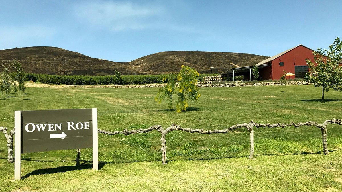 Owen Roe Winery winery in Wapato, United States