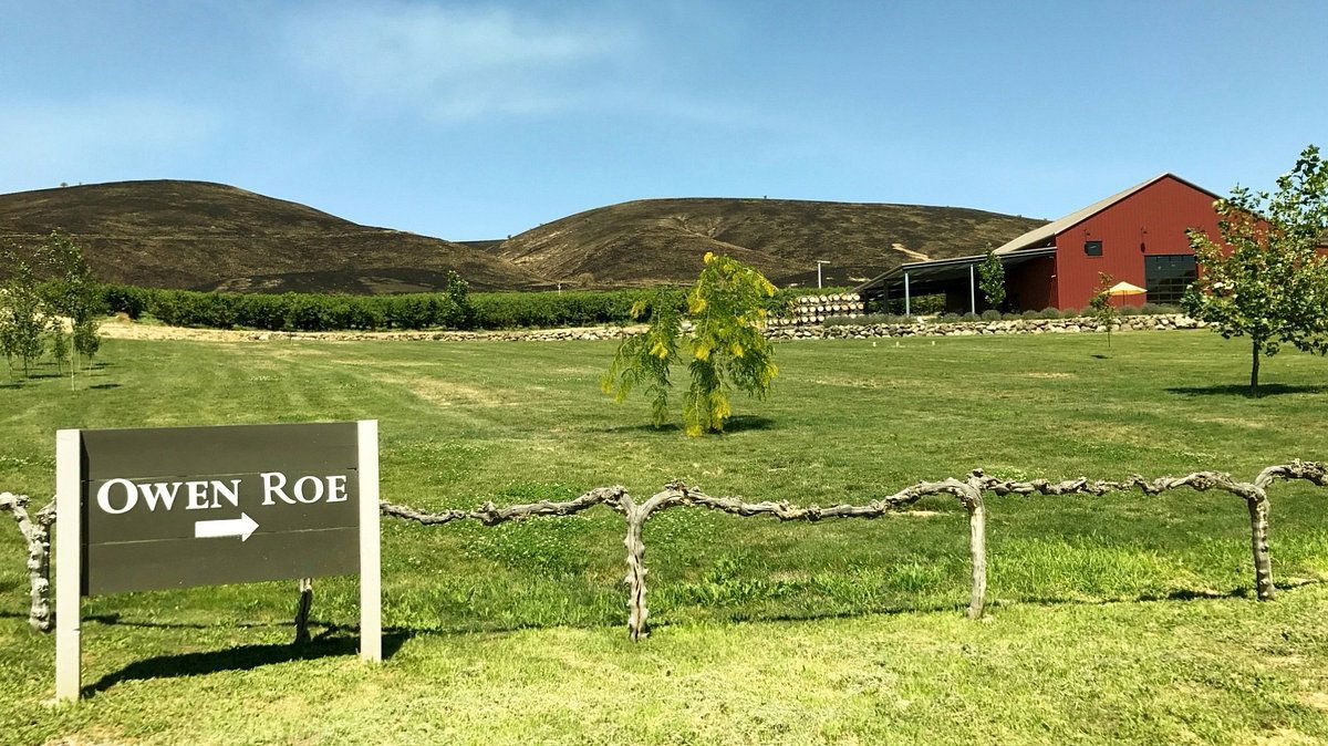 Owen Roe Winery, Winery in Wapato
