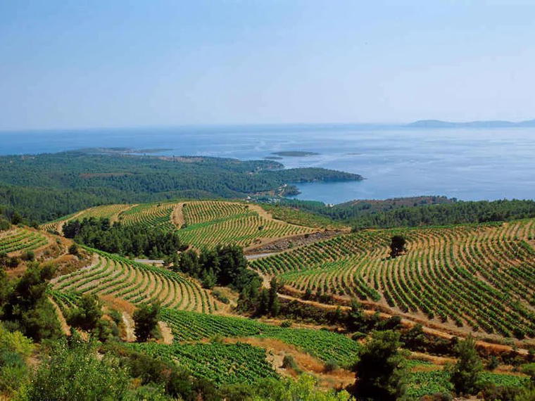 Porto Carras Winery, Halkidiki, Greece
