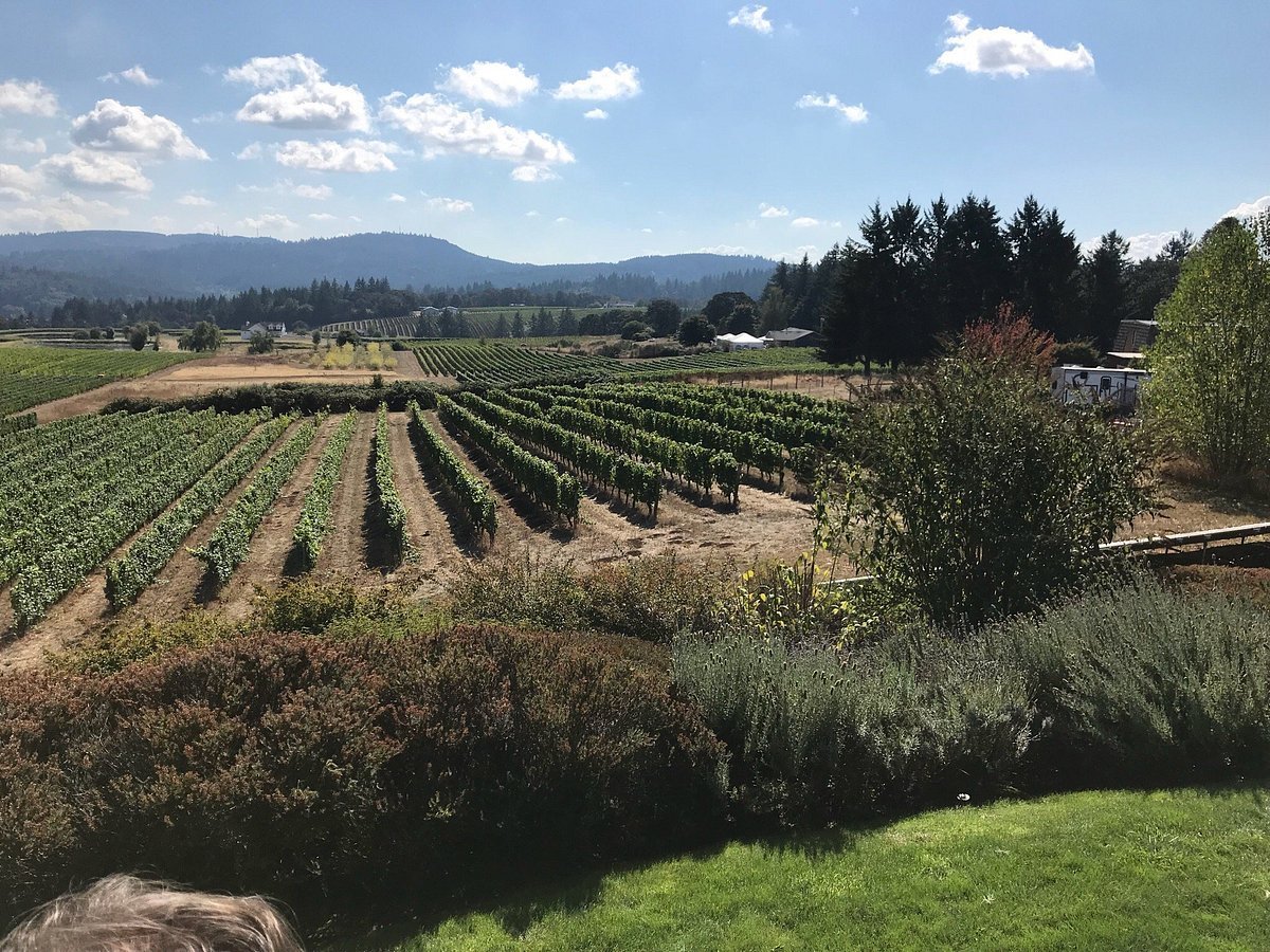 Bethel Heights Vineyard winery in Salem, Germany