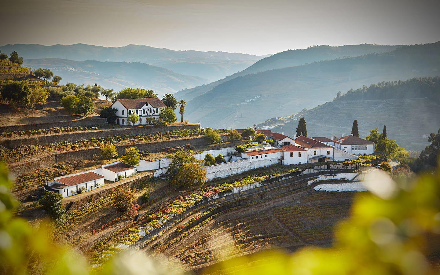 Quinta do Noval winery in Pinhão
