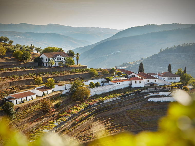 Quinta do Noval, Pinhão, Portugal