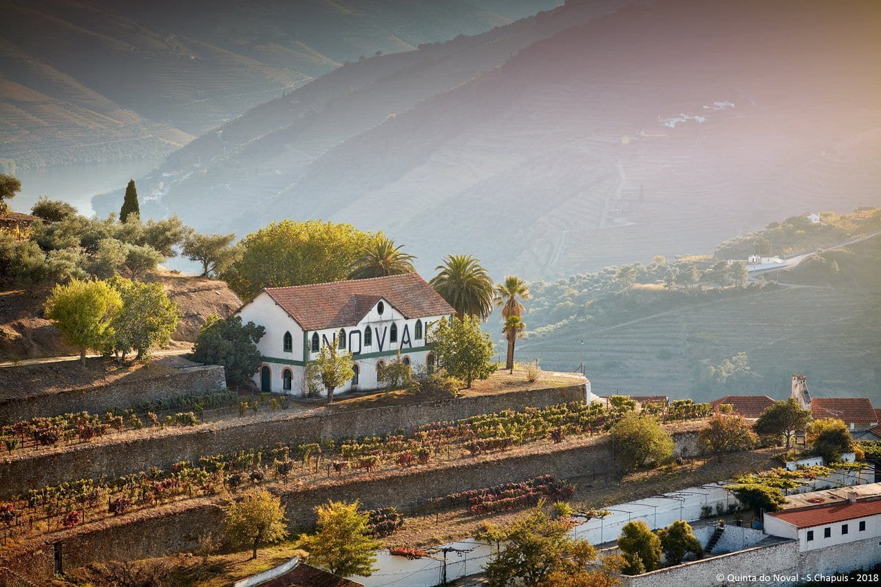 Quinta do Noval winery in Pinhão, Portugal