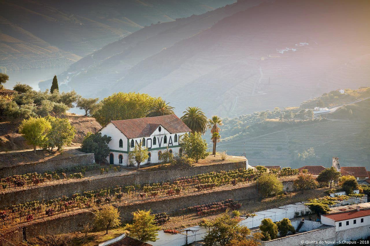 Quinta do Noval, Pinhão, Portugal