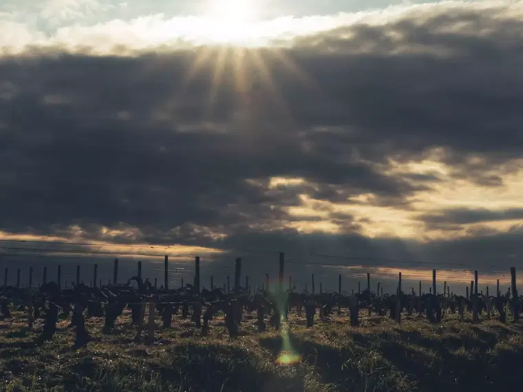 Domaines Barons de Rothschild (Lafite), Bordeaux, France