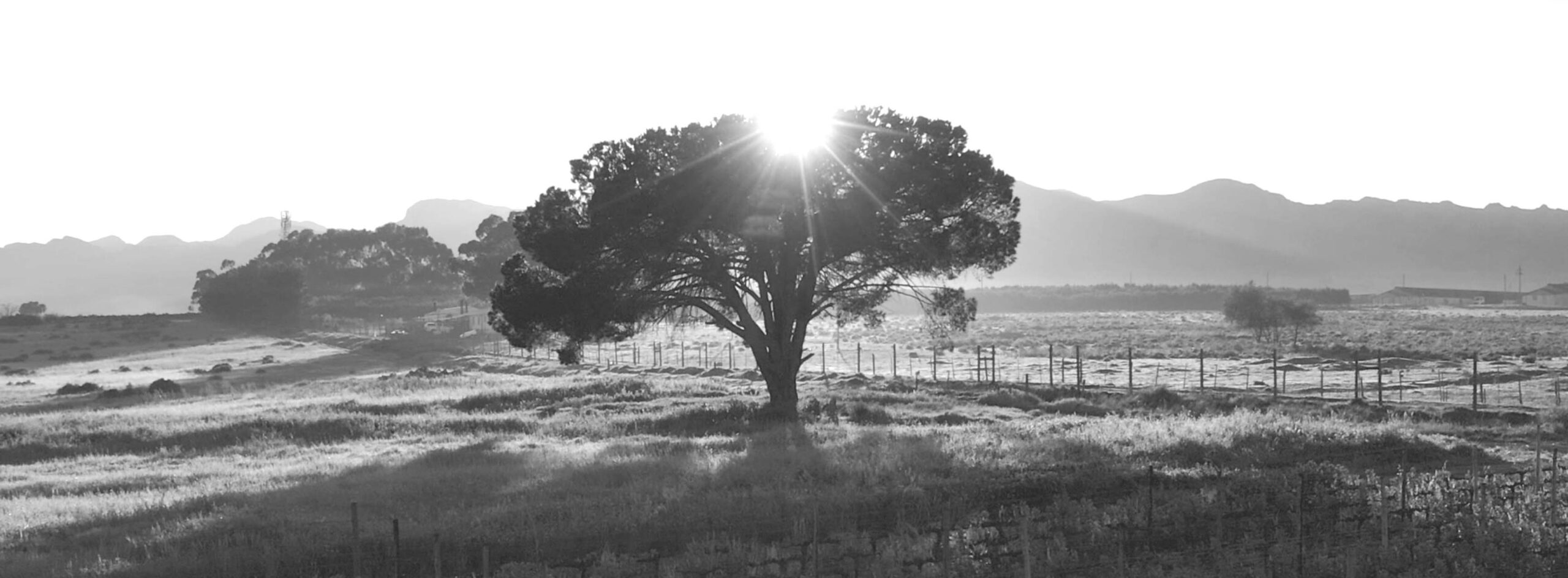 Vilafonté, Paarl, South Africa