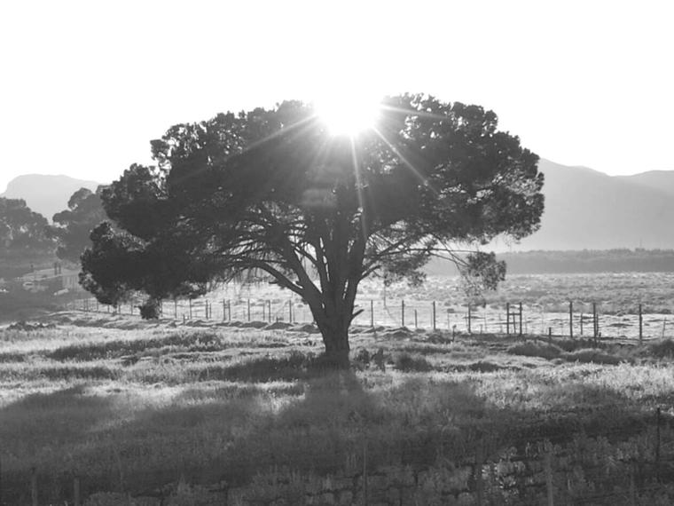 Vilafonté, Paarl, South Africa