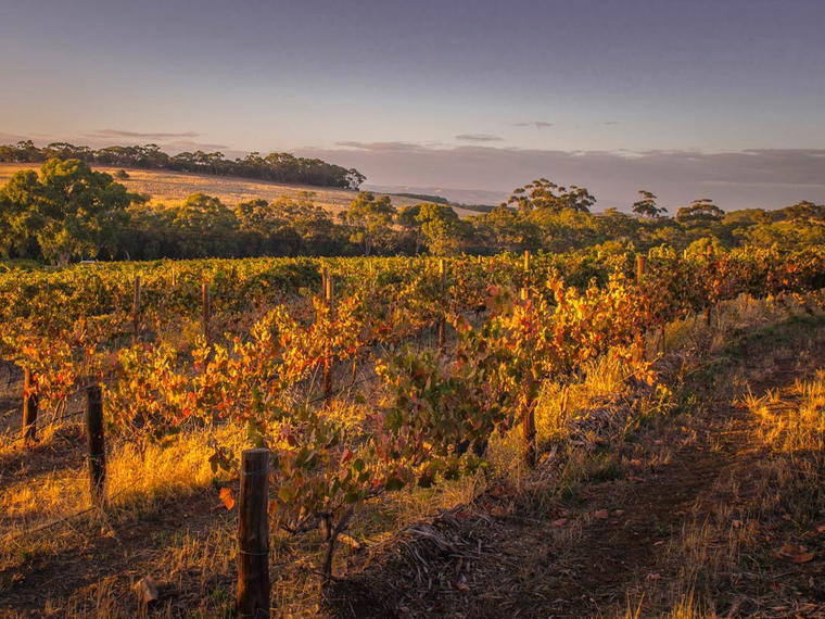 Koomilya, McLaren Vale, Australia