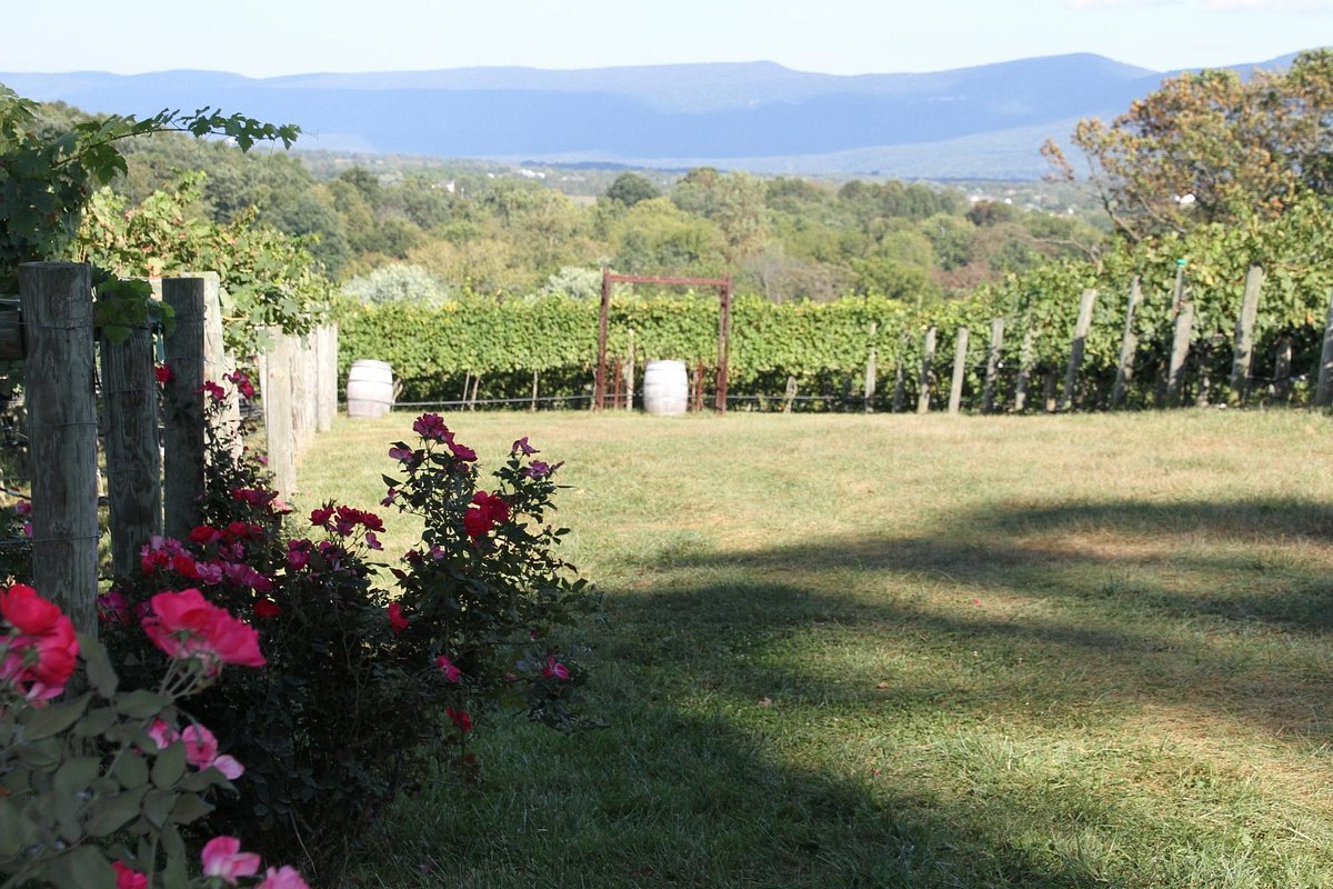 Cave Ridge Vineyard winery in Mount Jackson, United States