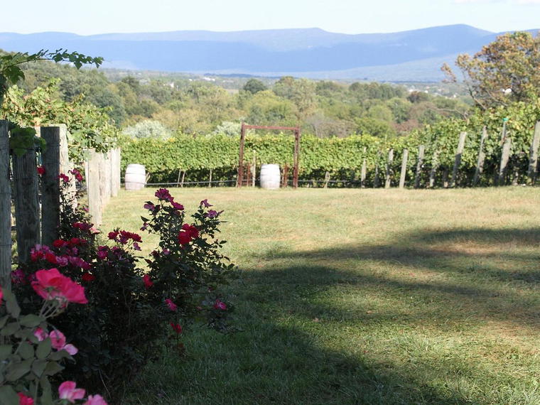 Cave Ridge Vineyard, Mount Jackson, United States
