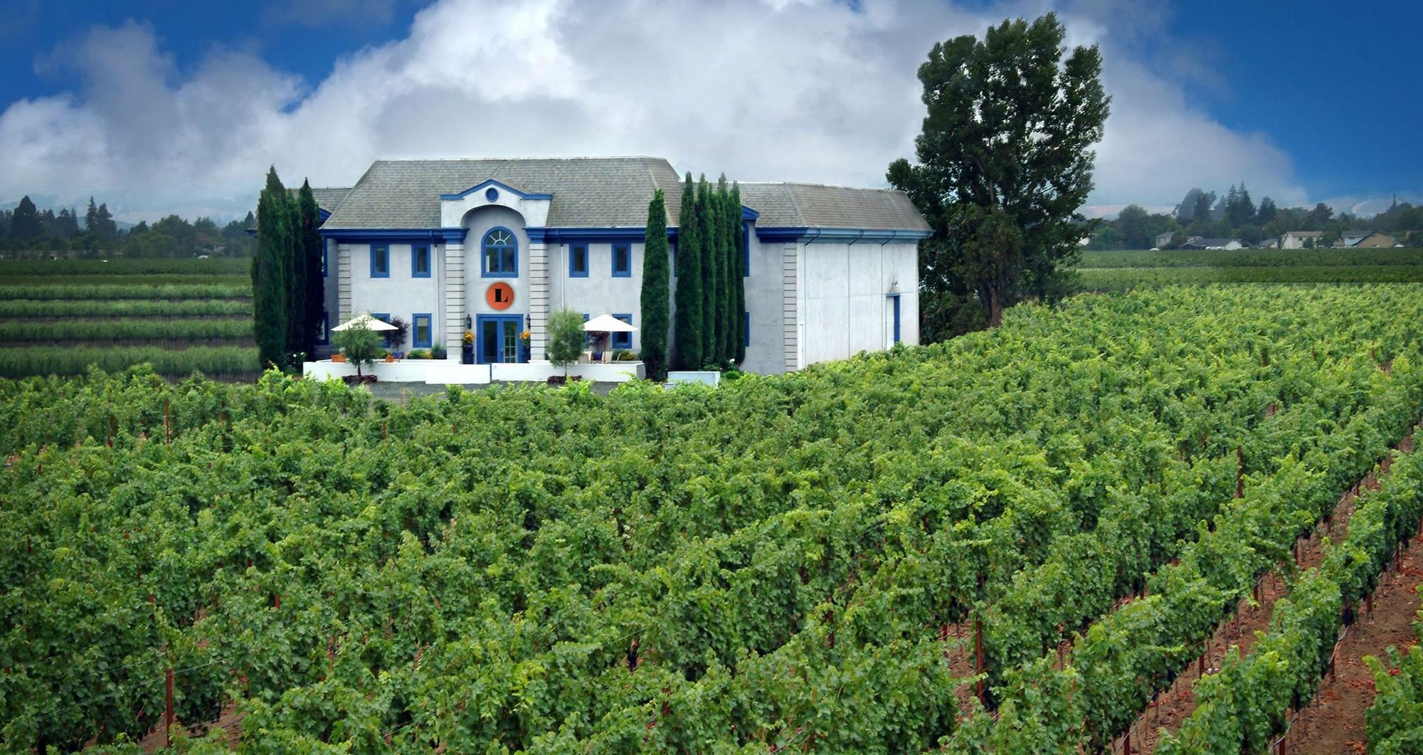 Lewis Cellars winery in Stags Leap District (Napa), United States