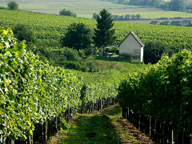 Királyudvar, Tarcal, Hungary