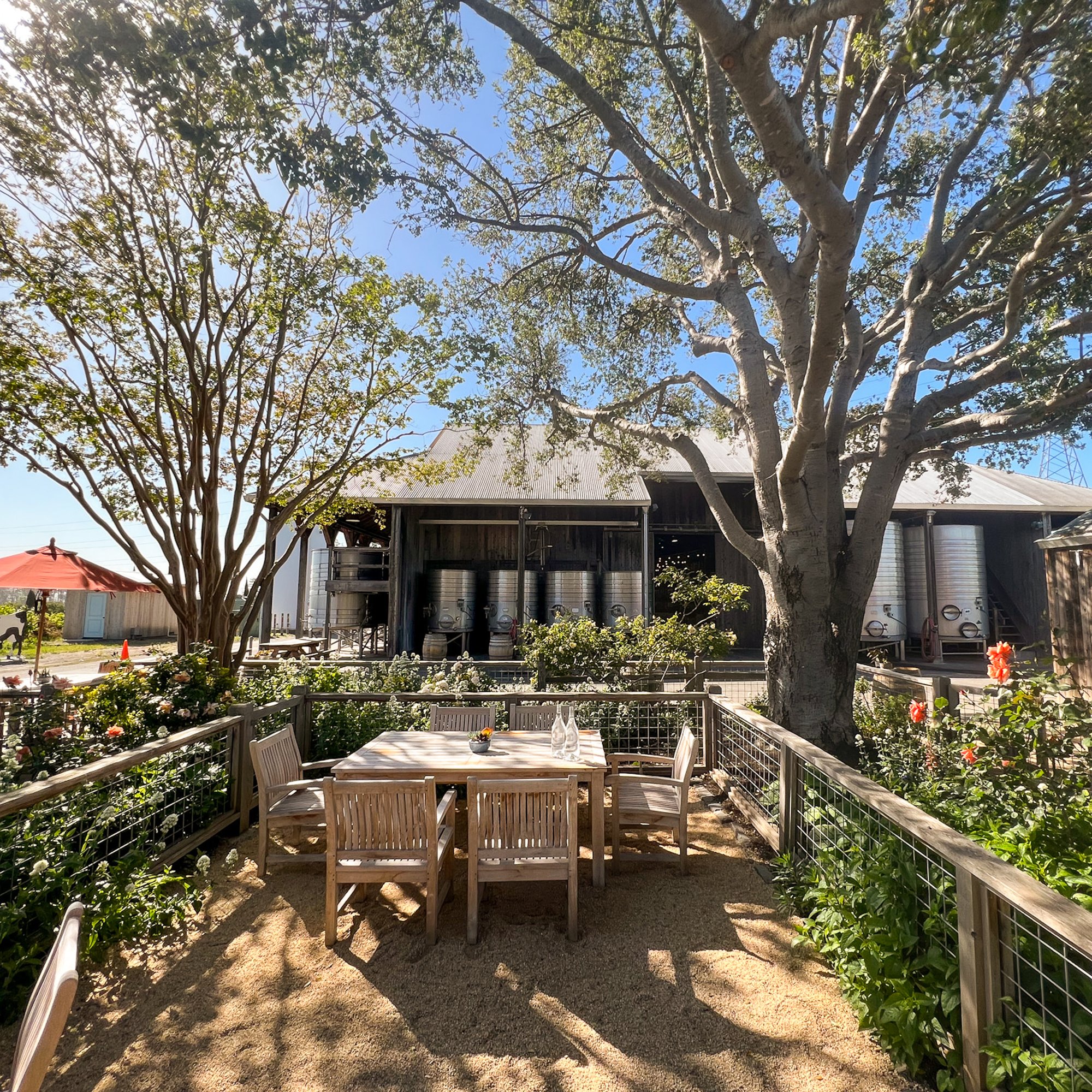 Saintsbury winery in Napa, United States