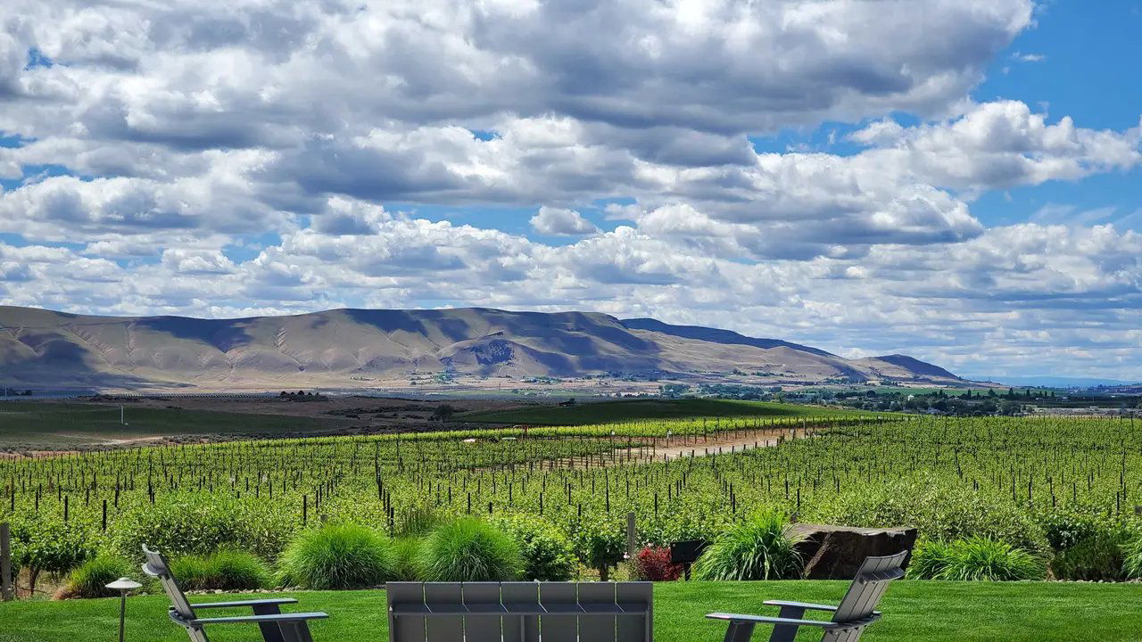 Fidélitas, Winery in Benton City