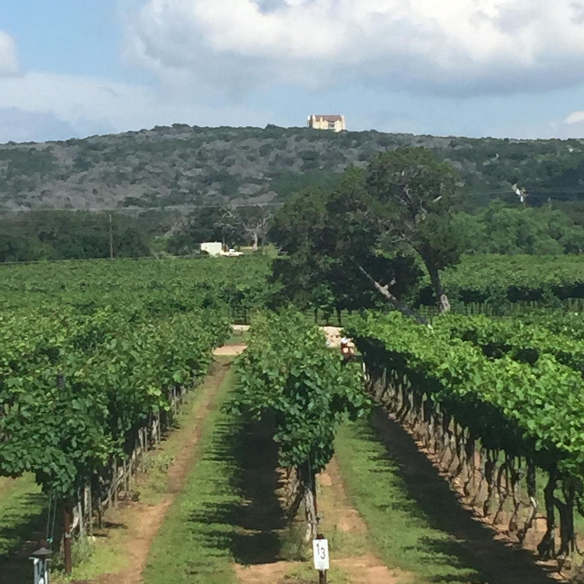 Perissos Vineyard and Winery, Burnet, United States