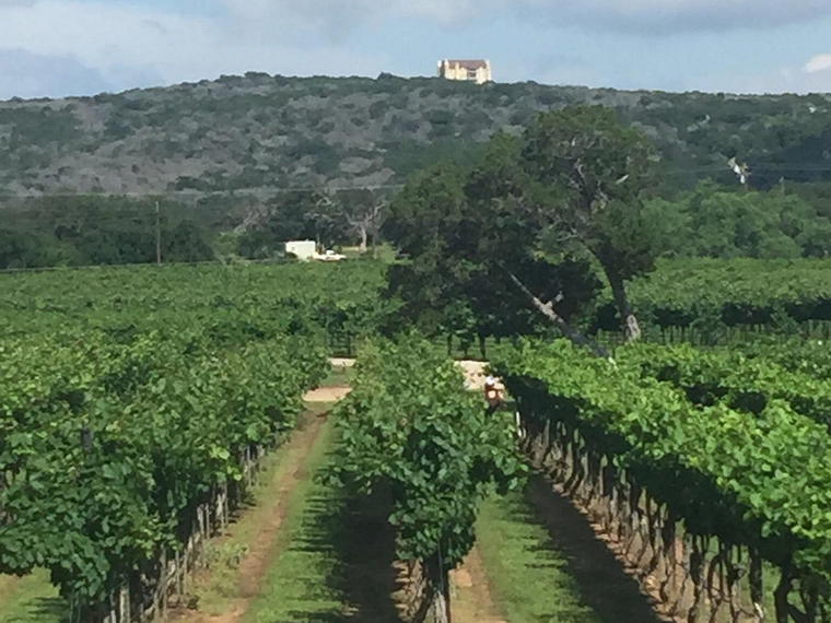 Perissos Vineyard and Winery, Burnet, United States