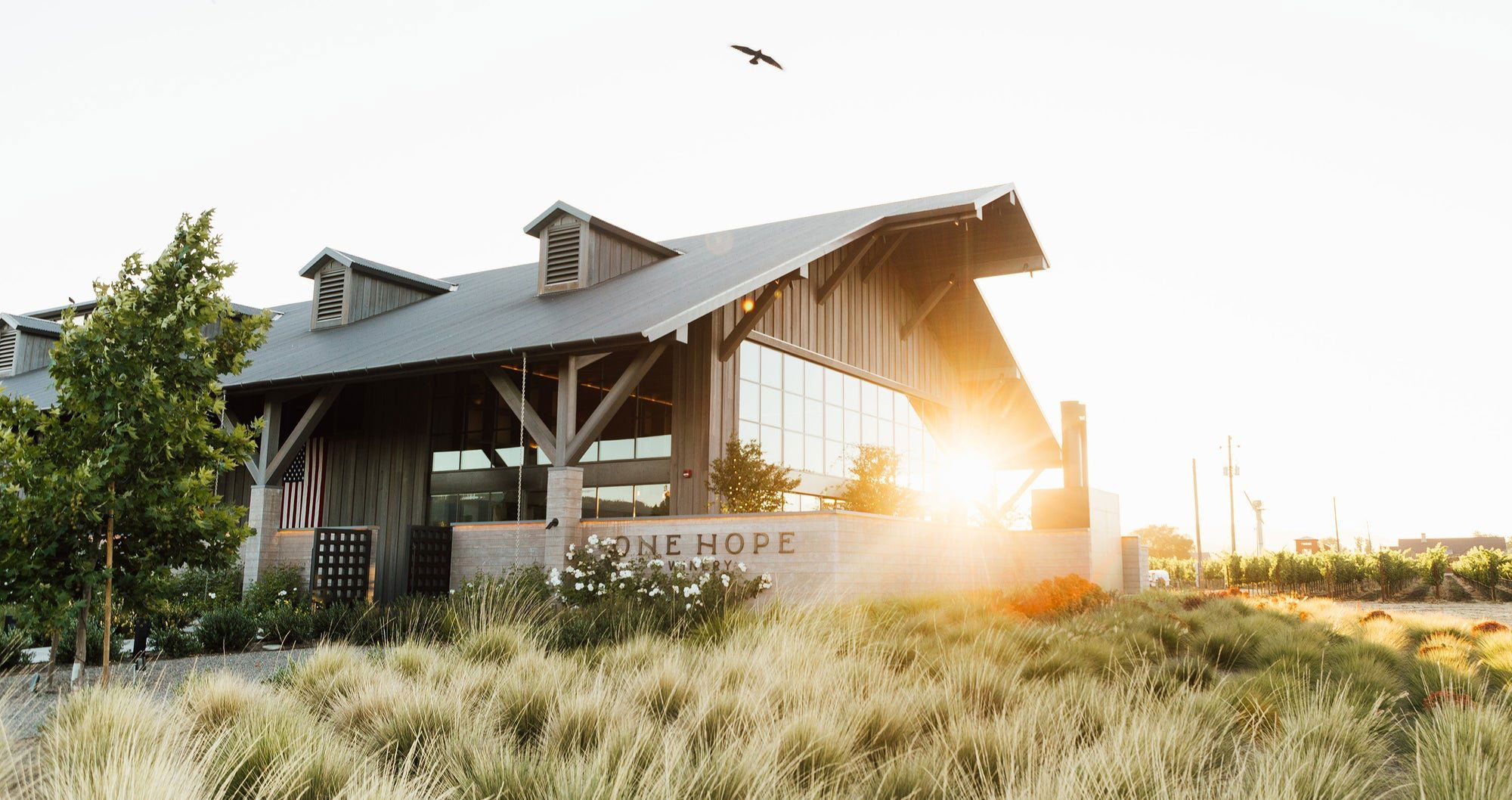 ONEHOPE Wine, Winery in Rutherford