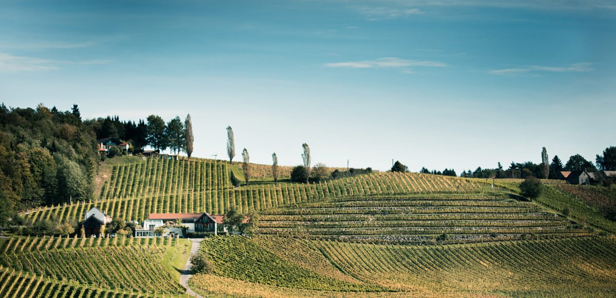 Weingut Gross winery in Ehrenhausen, Austria