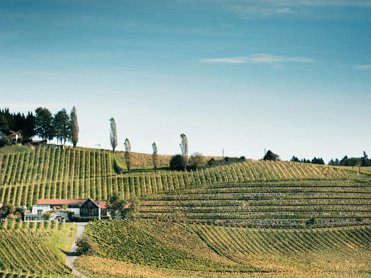 Weingut Gross, Ehrenhausen, Austria