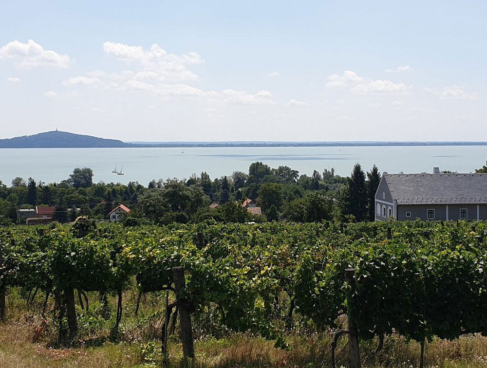 Szeremley Estate, Winery in Badacsonytomaj