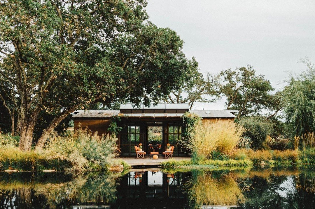 Rudd Estate winery in Oakville, United States