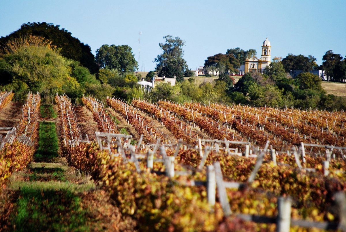 Familia Irurtia winery in Carmelo, Uruguay