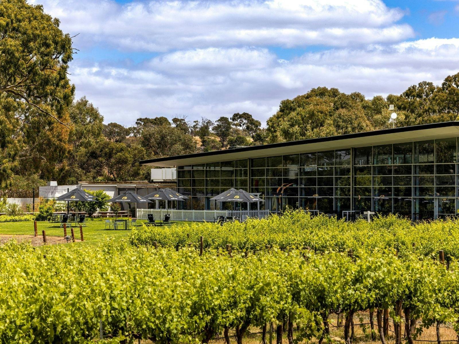 Jacob's Creek winery in Barossa Valley, Australia